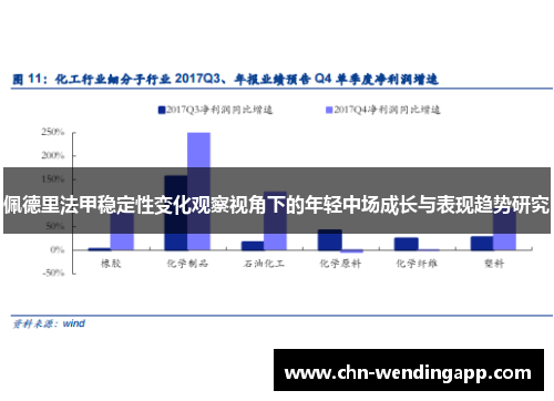 佩德里法甲稳定性变化观察视角下的年轻中场成长与表现趋势研究