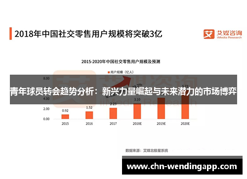 青年球员转会趋势分析：新兴力量崛起与未来潜力的市场博弈