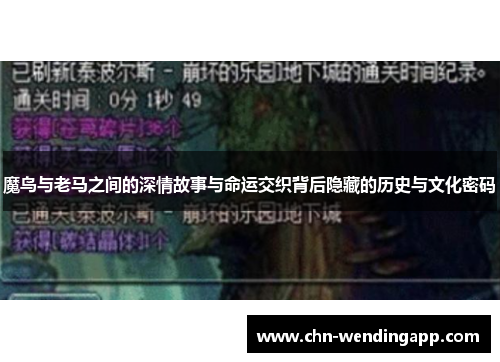 魔鸟与老马之间的深情故事与命运交织背后隐藏的历史与文化密码